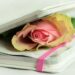 Pink Rose inside of journal. Scanxiety over one year imaging