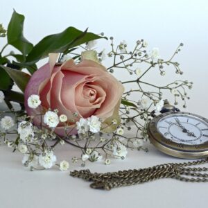 Rose with watch on white background. Lumpectomy day .