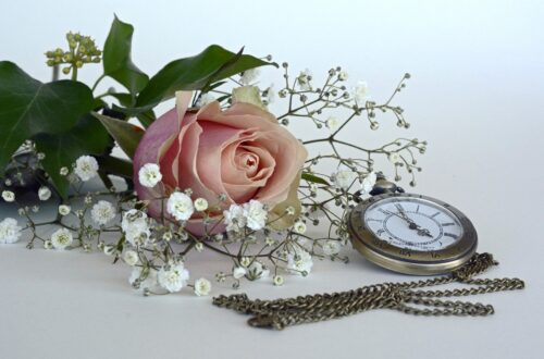 Rose with watch on white background. Lumpectomy day .