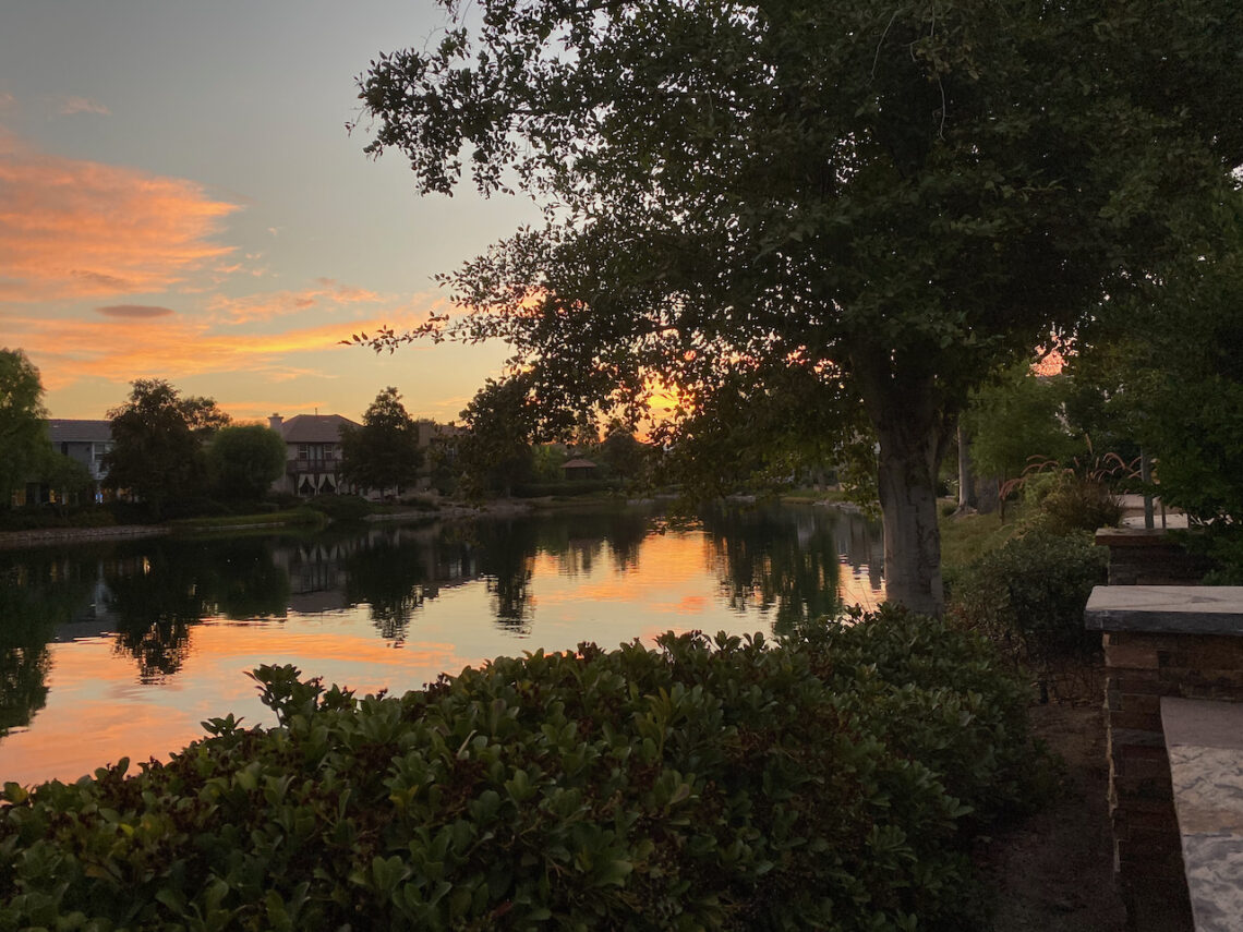 Sunrise over lake. From carpal tunnel to a herniated disc