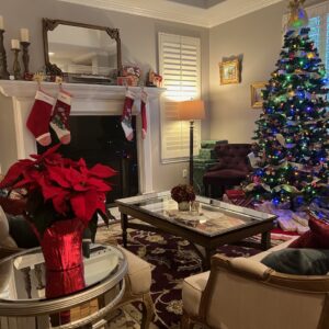 Photo of a living room with a Christmas tree. Two years since DCIS treatment