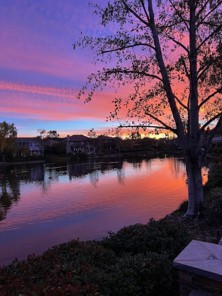 Sunrise over lake with purple and pink sky