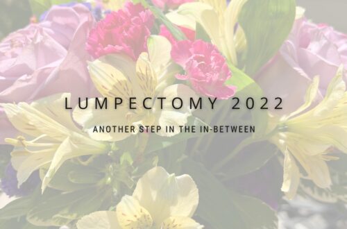 Header image with floral background. Text reads Lumpectomy 2022 another step in the in between.