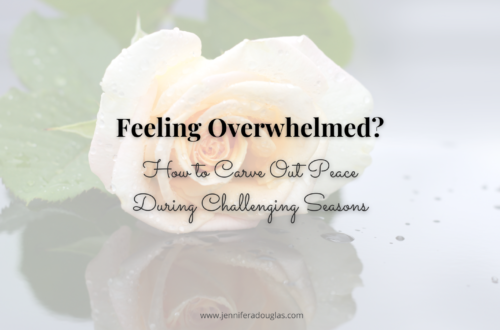 Peach rose on ground with raindrops on it. Text reads Feeling overwhelmed? How to carve out peace during challenging seasons