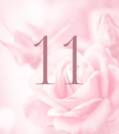 Pink rose background with number 11