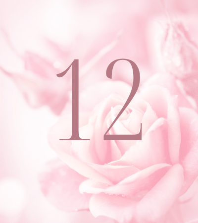Pink rose background with number 12