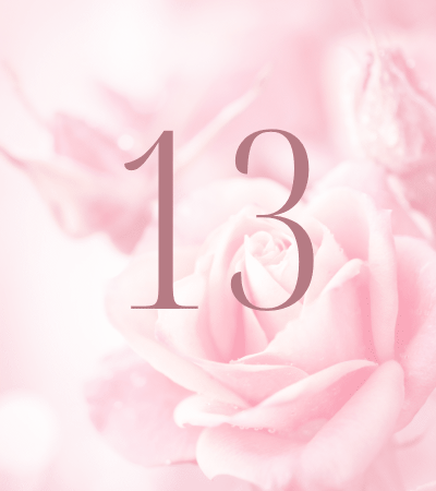 Pink rose background with number 13