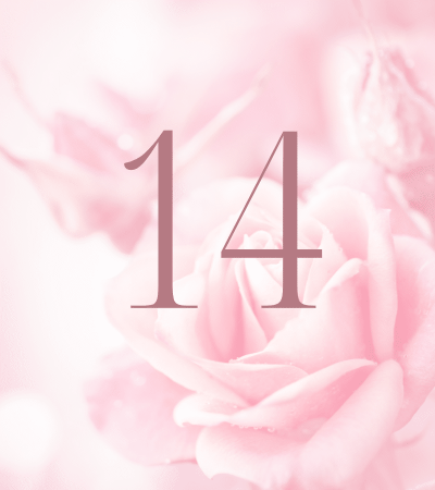 Pink rose background with number 14