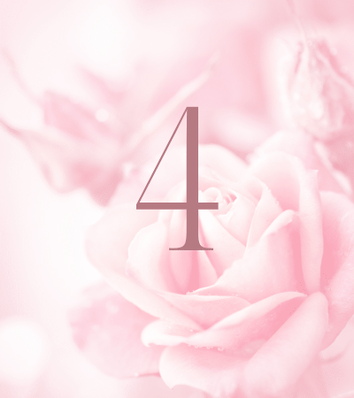 Pink rose background with number 4