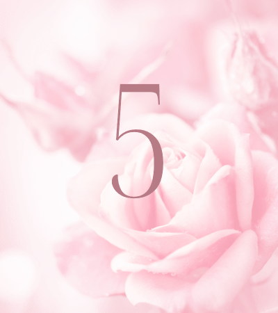 Pink rose background with number 5