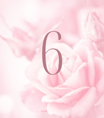 Pink rose background with number 6