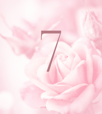 Pink rose background with number 7