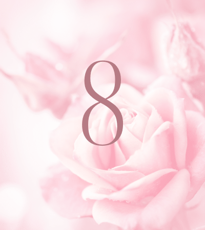 Pink rose background with number 8
