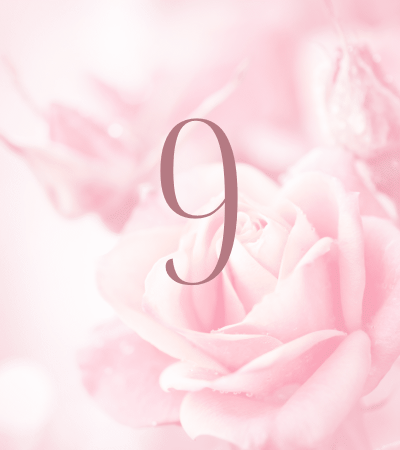 Pink rose background with number 9